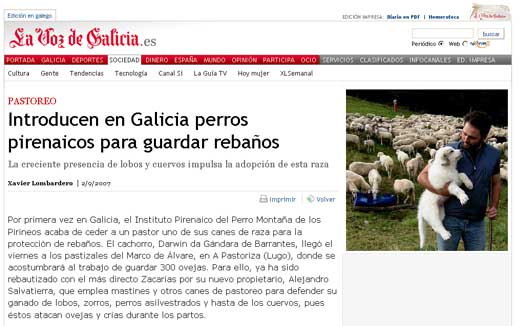  Introducen en Galicia perros pirenaicos para guardar rebaños